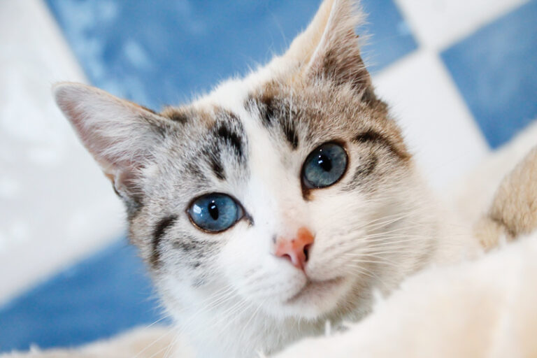 multimedia-foto46460-206-3