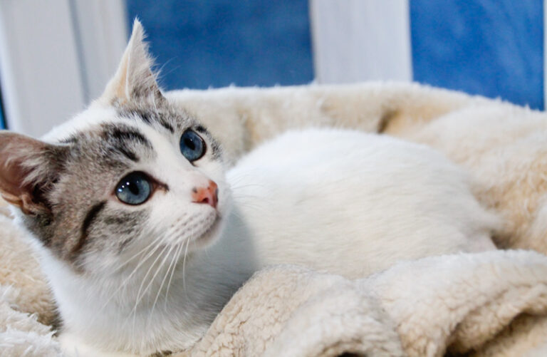 multimedia-foto46461-206-3