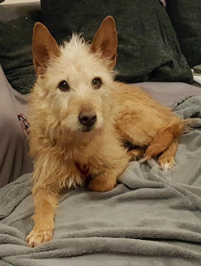 multimedia-foto46467-218-3