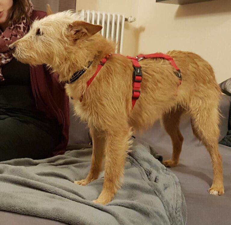 multimedia-foto46468-219-3