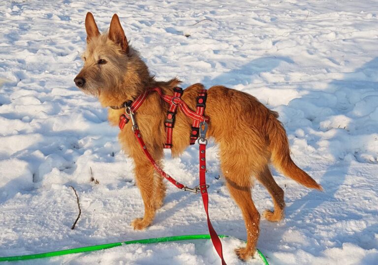 multimedia-foto46469-220-3