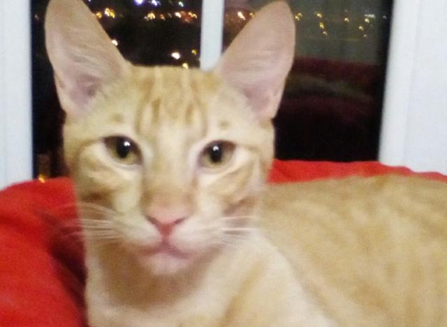 multimedia-foto46473-601-3