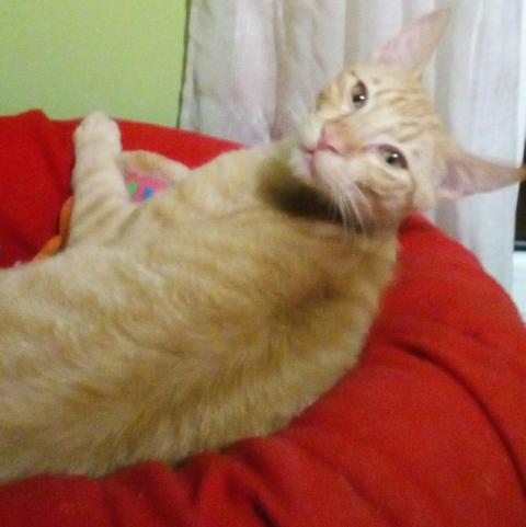 multimedia-foto46474-601-3