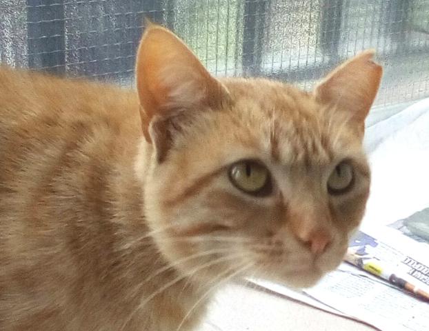 multimedia-foto46480-29-3