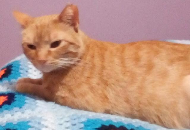 multimedia-foto46481-29-3