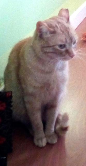 multimedia-foto46483-30-3