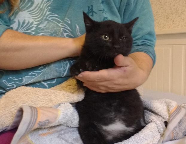 multimedia-foto46492-534-3