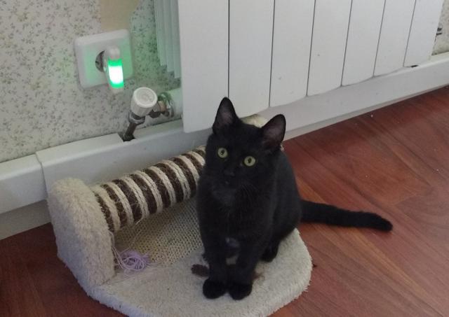 multimedia-foto46493-534-3