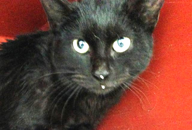 multimedia-foto46538-696-3