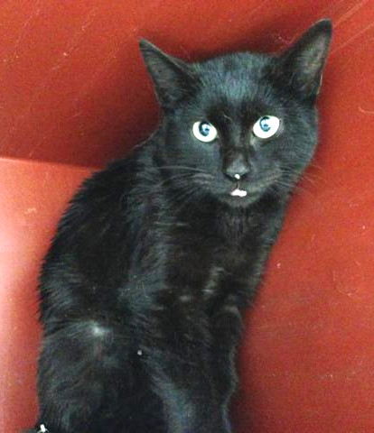 multimedia-foto46539-697-3