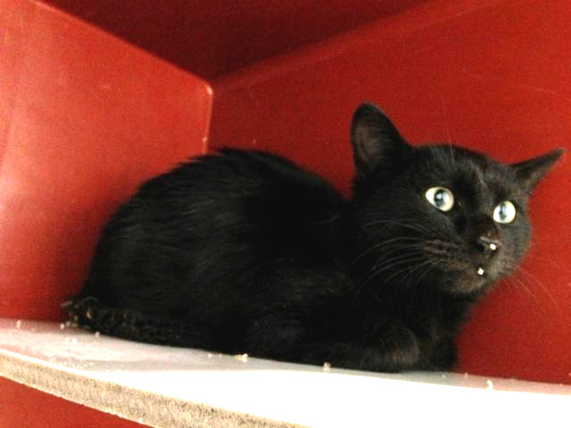 multimedia-foto46540-699-3