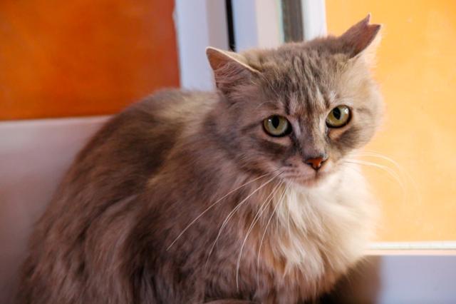 multimedia-foto46545-823-3