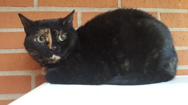 multimedia-foto46557-695-3