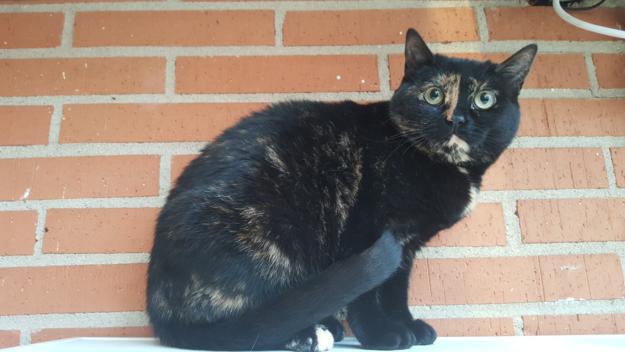 multimedia-foto46558-695-3