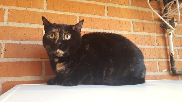 multimedia-foto46559-696-3