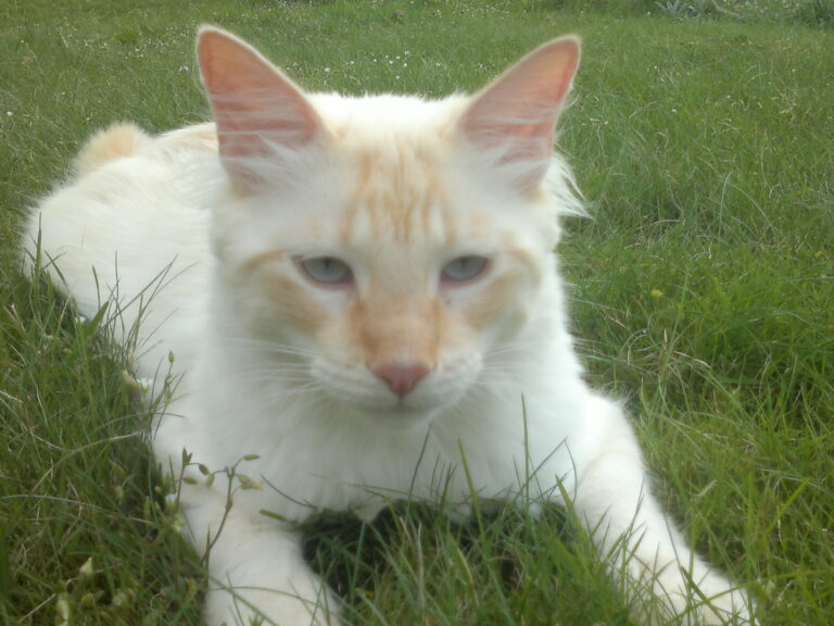 multimedia-foto46580-249-3