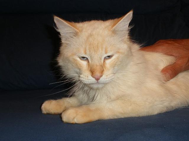 multimedia-foto46581-252-3