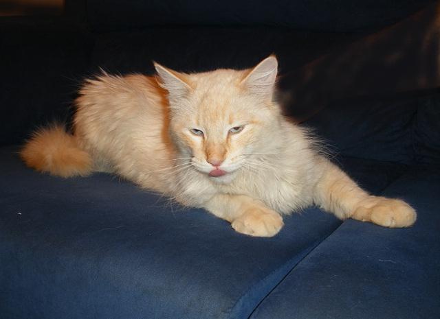 multimedia-foto46583-253-3