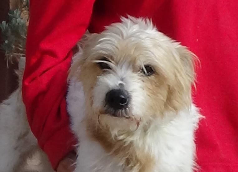 multimedia-foto46594-489-3