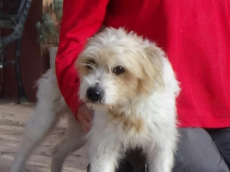 multimedia-foto46595-489-3