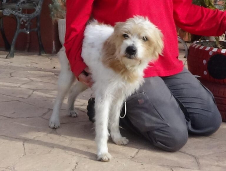 multimedia-foto46596-490-3