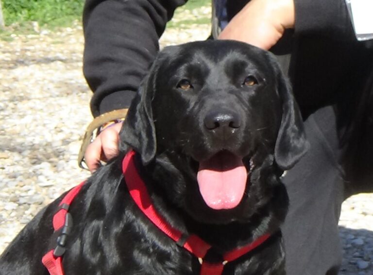 multimedia-foto46665-312-3