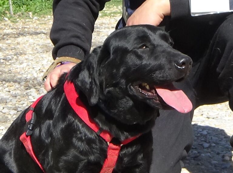 multimedia-foto46666-313-3