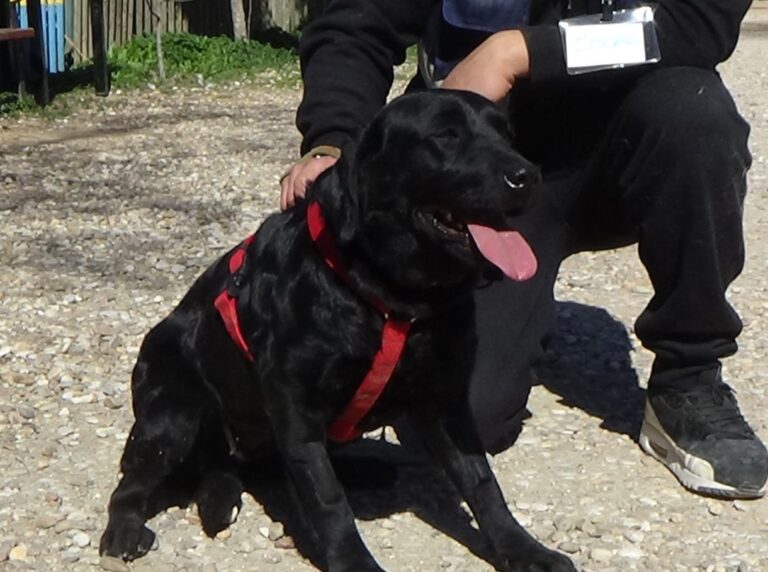 multimedia-foto46667-314-3