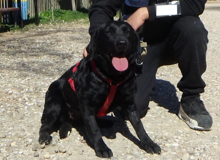 multimedia-foto46668-314-3