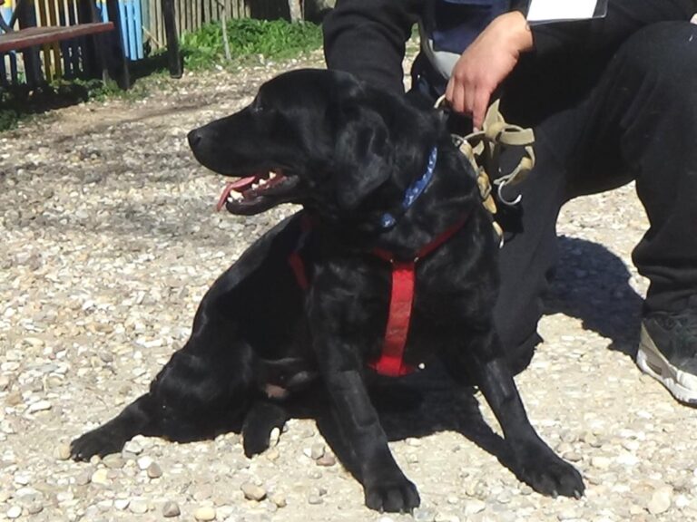 multimedia-foto46669-315-3