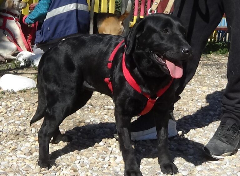 multimedia-foto46671-348-3