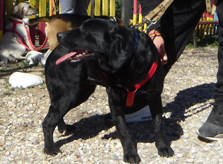 multimedia-foto46672-348-3