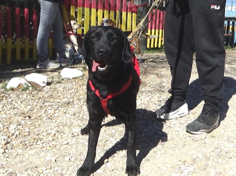 multimedia-foto46673-349-3