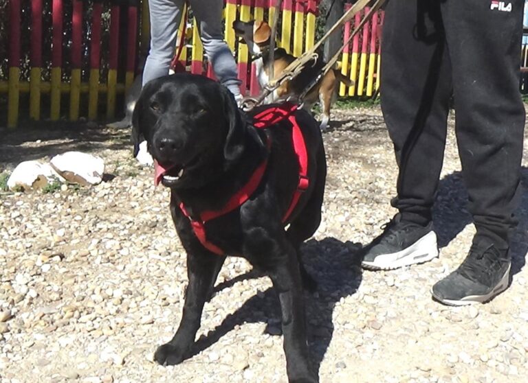 multimedia-foto46674-350-3