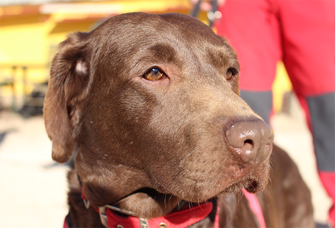 multimedia-foto46697-946-3