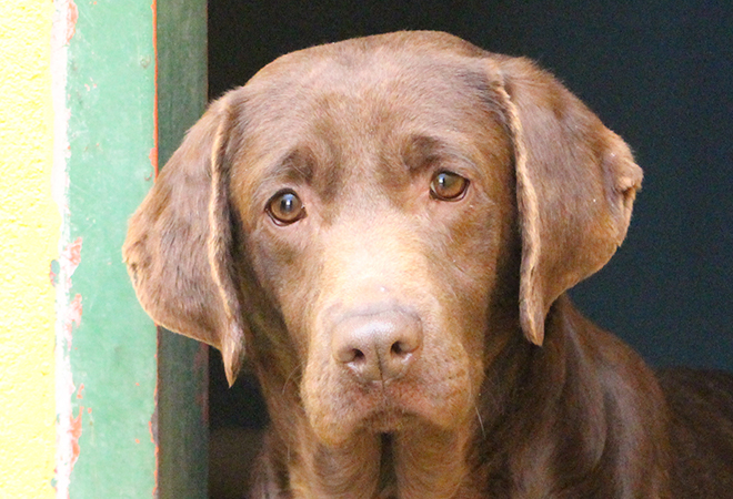 multimedia-foto46698-946-3