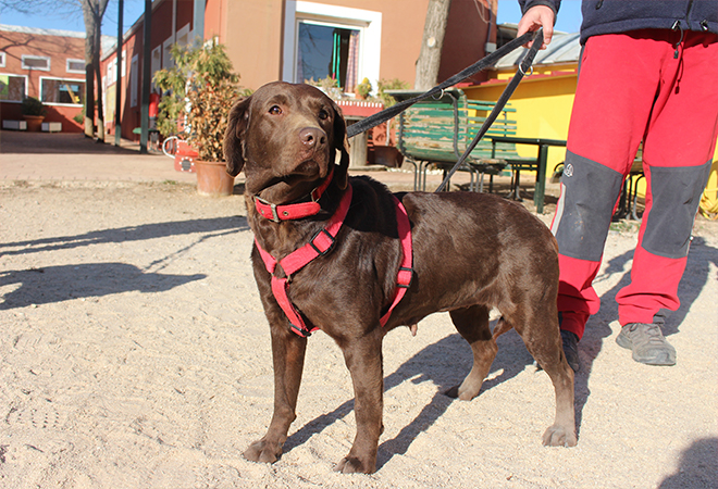 multimedia-foto46699-947-3