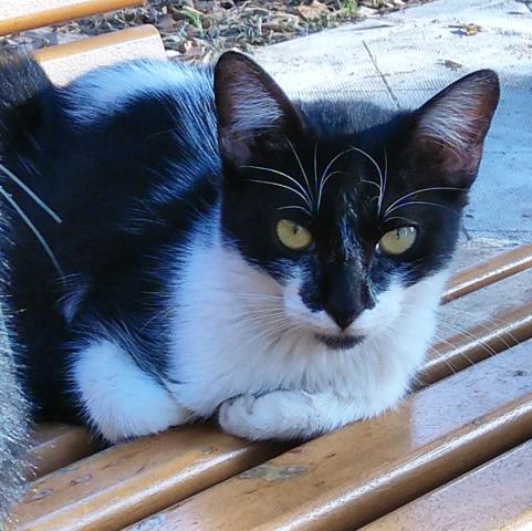 multimedia-foto46721-268-1