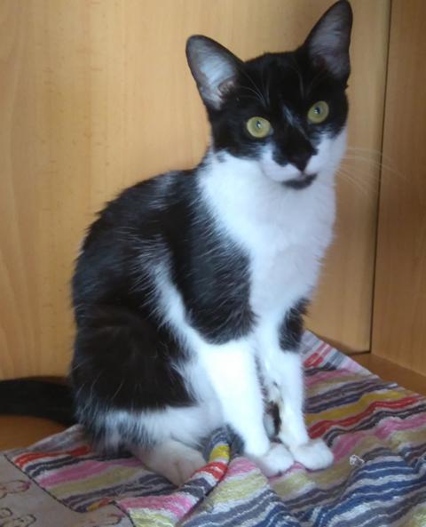 multimedia-foto46723-269-1