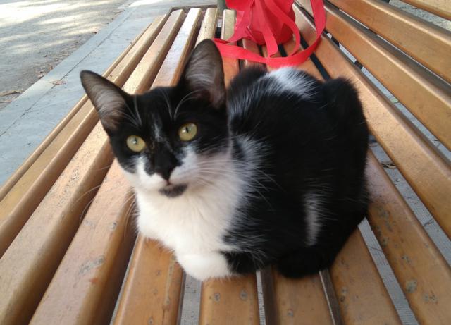 multimedia-foto46724-269-1