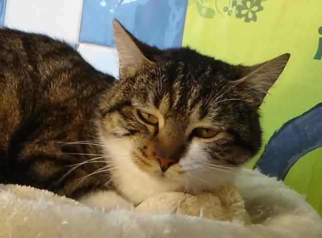 multimedia-foto46733-152-1