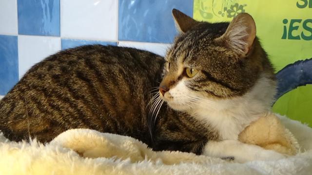 multimedia-foto46734-153-1