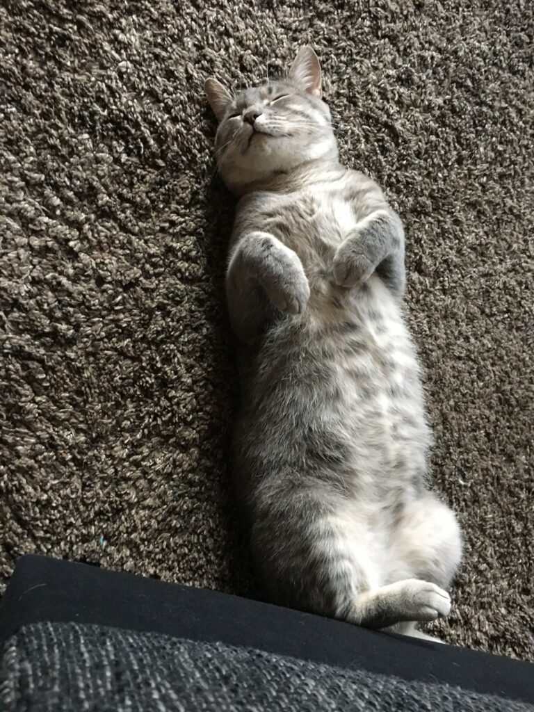 multimedia-foto46765-329-1