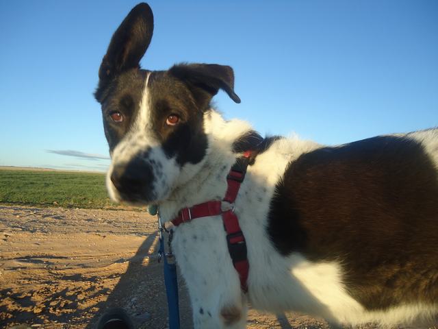 multimedia-foto46798-96-3