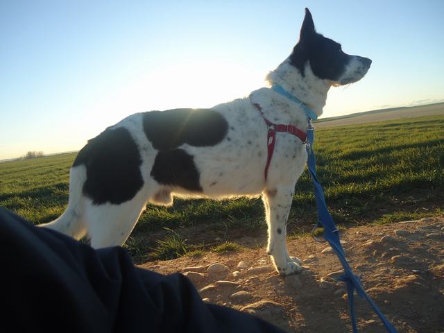 multimedia-foto46799-96-3