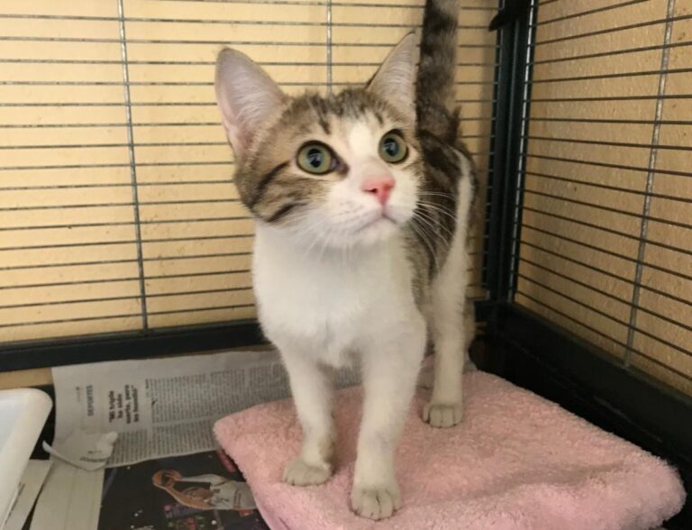 multimedia-foto46801-201-1