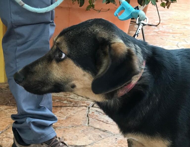 multimedia-foto46830-74-1