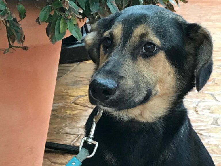 multimedia-foto46831-74-1