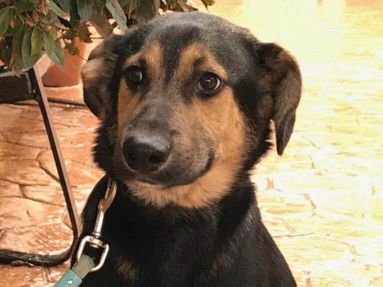 multimedia-foto46834-95-1