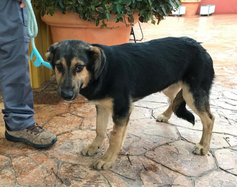 multimedia-foto46835-139-1